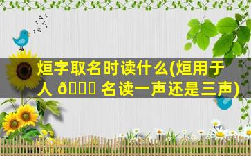 烜字取名时读什么(烜用于人 🍁 名读一声还是三声)
